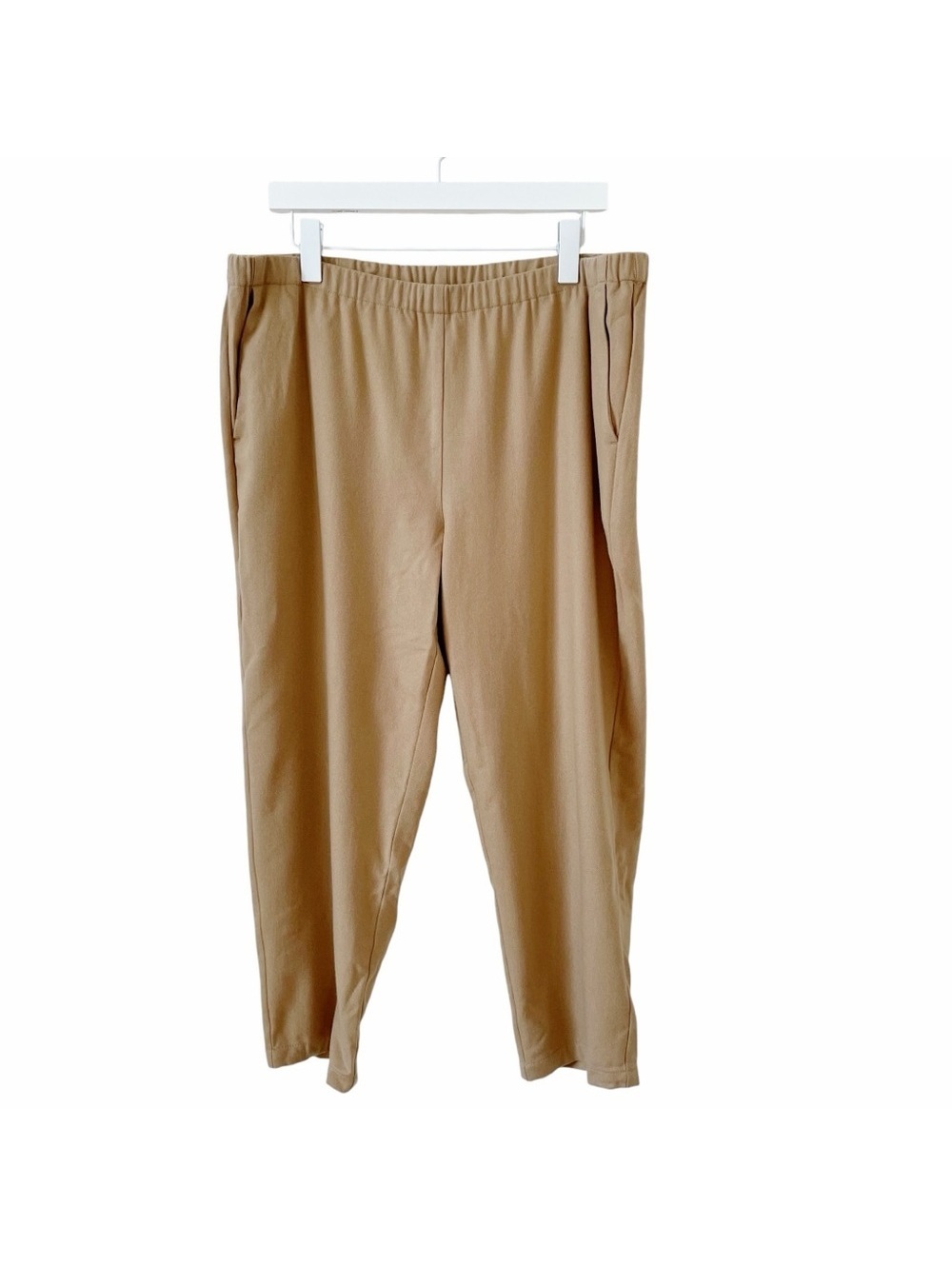 Eileen Fisher 100% Wool Pull On Pants Neutral Size Large Luxury Minimalist Crop